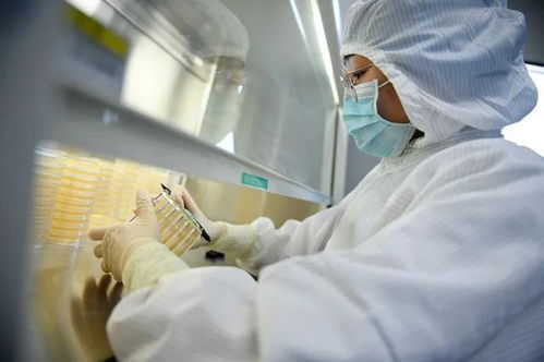日常防護型口罩技術要求及檢驗方法——保障呼吸健康的專業指南