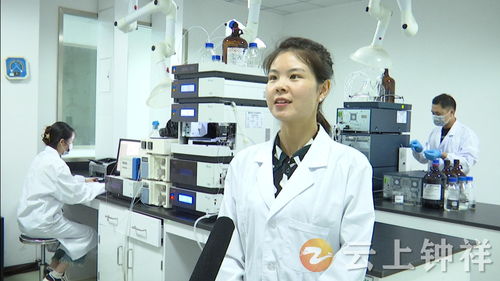 湖北鐘祥 以免費檢測服務優化營商環境 為農產品安全保駕護航
